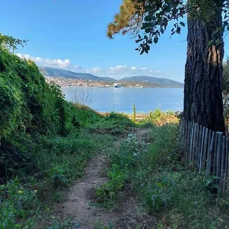 Acces Privee A La Apartman Olmeto